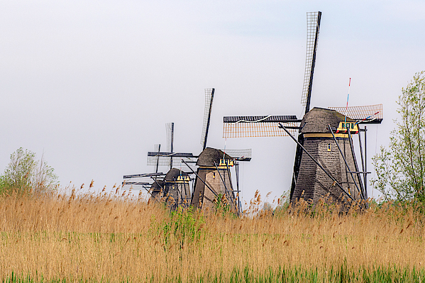 The windmills of Kinderdijk by Wolfgang Stocker The windmills of Kinderdijk by Wolfgang Stocker